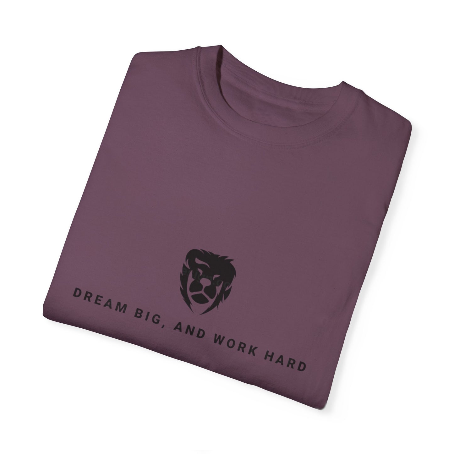 Dream Big and Work Hard T-Shirts