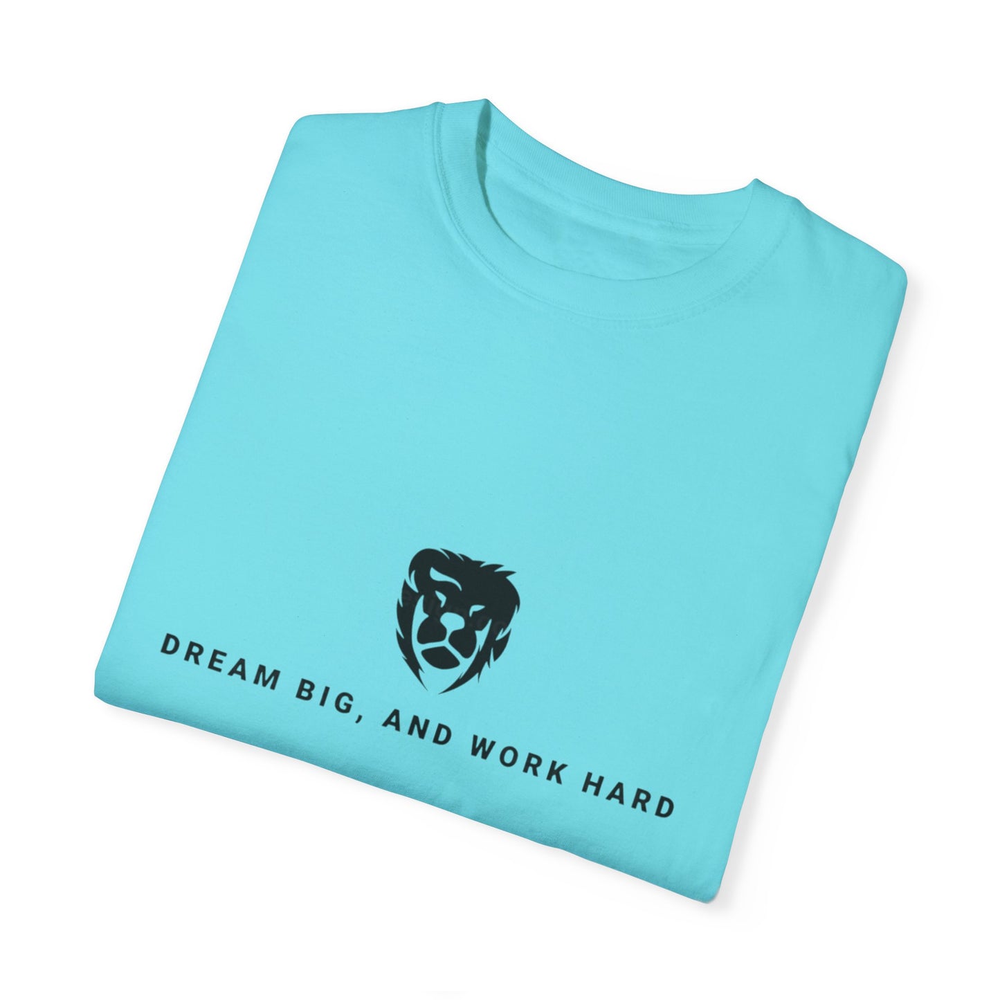 Dream Big and Work Hard T-Shirts